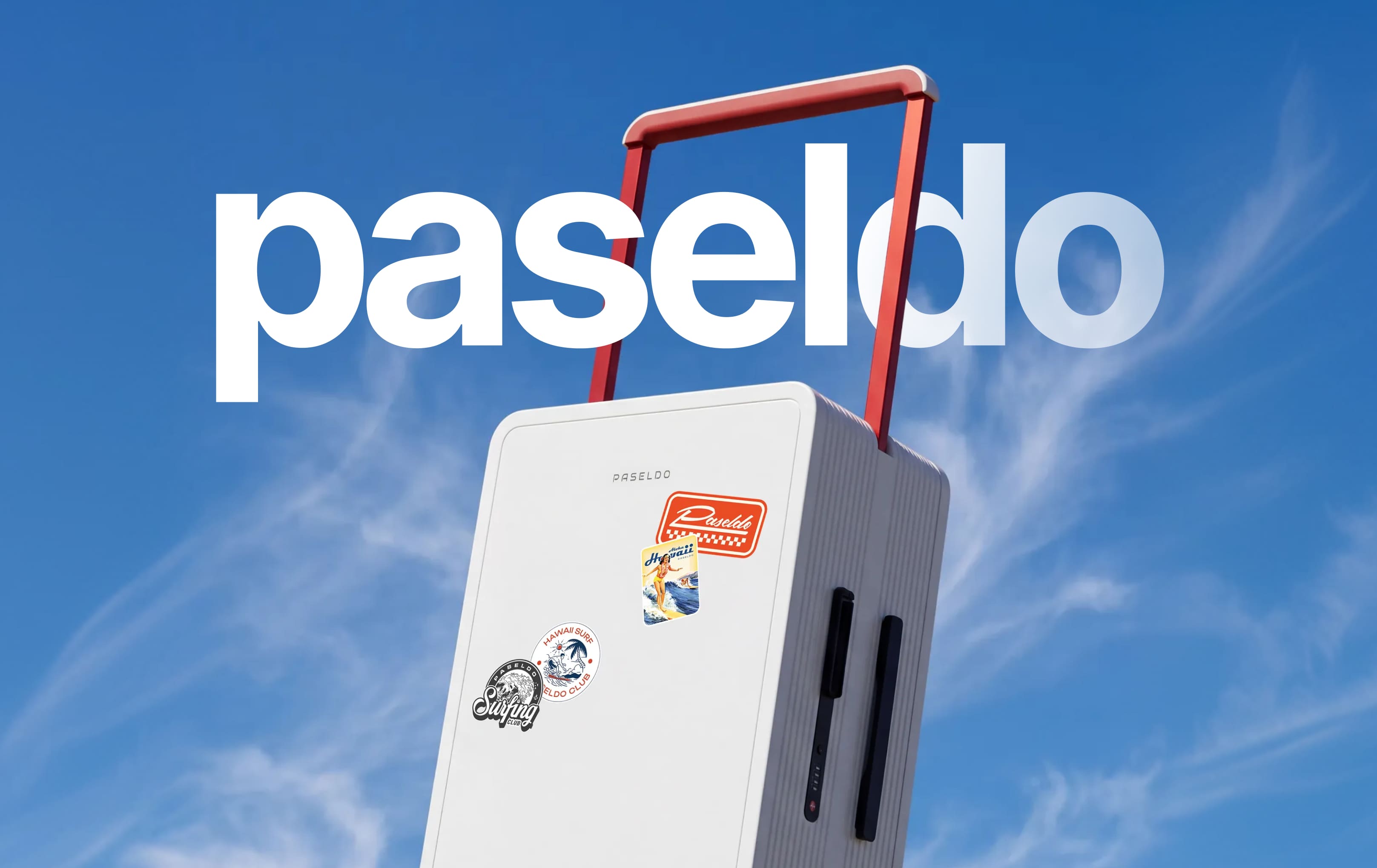 Визуалы для бренда чемоданов PASELDO